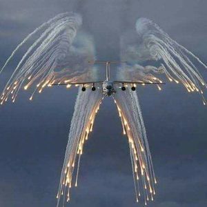 Meet your Posher, Ronald